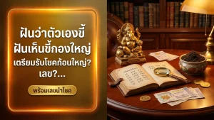 ฝันว่าตัวเองขี้ ฝันเห็นขี้กองใหญ่ เตรียมรับโชคก้อนใหญ่? เลขเด็ดอะไร